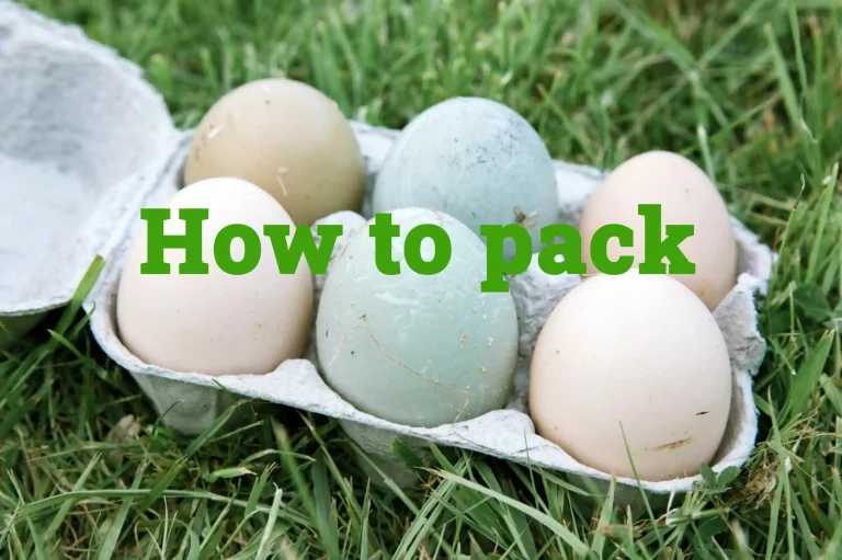 Egg Packing for Camping