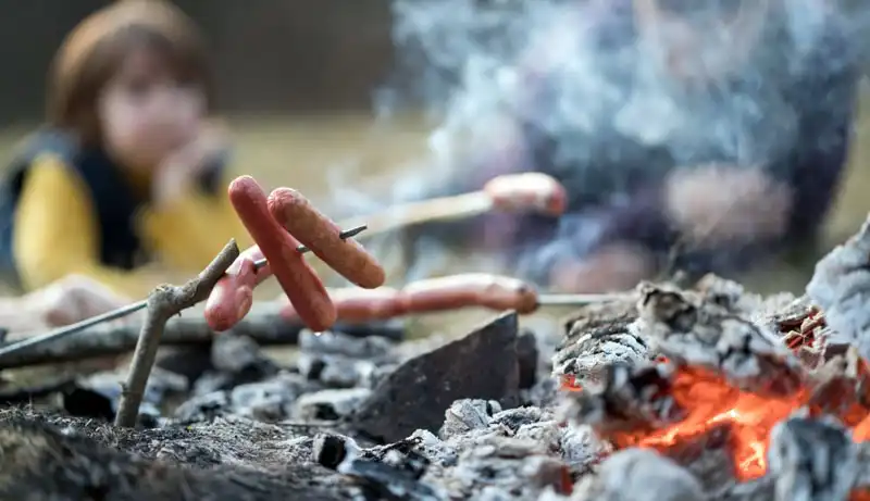 Campfire Roasting Sticks