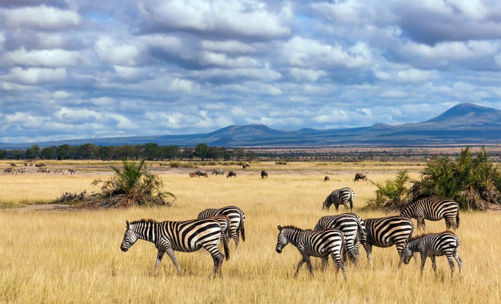 Maasai Mara National Reserve, Kenya