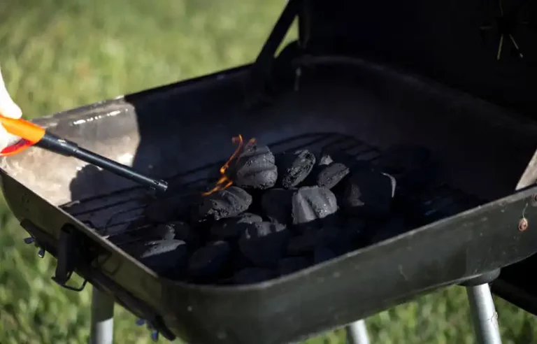 Best Way to Dispose of Charcoal Ash - A Brief Guide