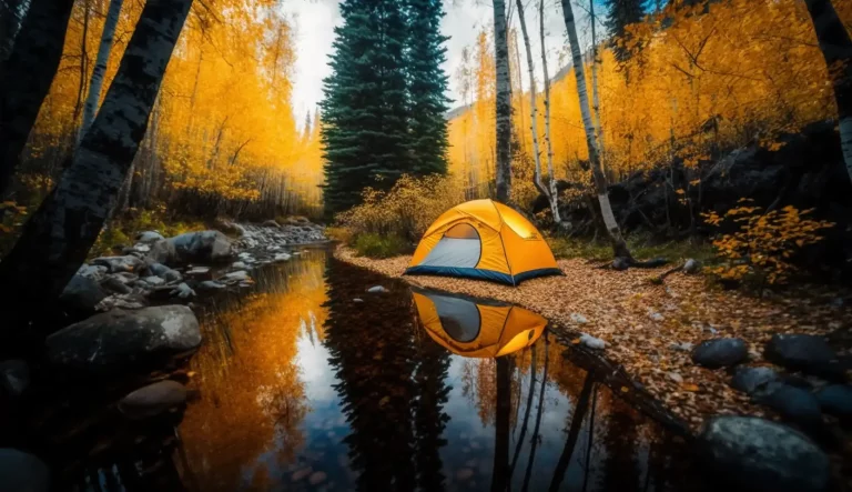 Camping with a lightweight tent in the forest, near a lake